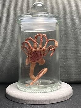 Amazon.co.jp: エイリアン フェイスハガー 培養タンク